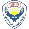 Al Nasr Cairo logo