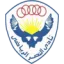 Al Nasr Cairo logo