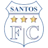 Santos Ica logo