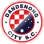 Dandenong City logo