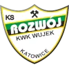 Rozwoj Katowice logo