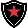 Botafogo da Paraíba logo