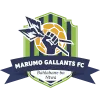Marumo Gallants logo