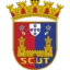 Torreense U19 logo