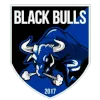 Black Bulls logo