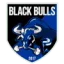 Black Bulls logo