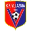 Vllaznia logo