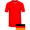 Hallescher logo