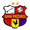 Deportivo San Pedro logo