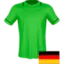 Hannover 96 II logo