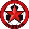 Zvezda Saint Petersburg logo