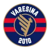 Varesina logo