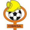Cobresal logo