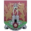 Northampton Town logo