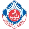 Trygg Lade logo
