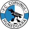 Corvinul Hunedoara logo