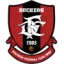 Bucheon 1995 logo