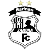 Zamora logo