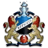 Szeged 2011 II logo