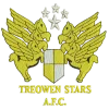 Treowen Stars logo