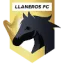 Llaneros Villavicencio U19 logo