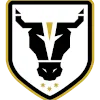 Bulls Academy U20 logo