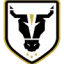 Bulls Academy U20 logo