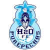 H2O Purepechas logo