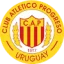 C.A. Progreso logo