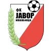 Javor Ivanjica logo