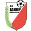 Javor Ivanjica logo