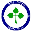 Grom Nowy Staw logo