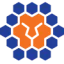 Queensland Lions logo