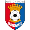 Chindia Targoviste logo
