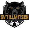 SV Tillmitsch logo