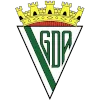 Grupo Desportivo Alcochetense logo
