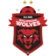 Wollongong Wolves logo
