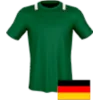 BSG Chemie Leipzig logo
