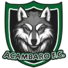 Acambaro logo