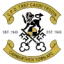Carmarthen Town logo