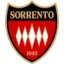 Sorrento Calcio logo