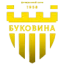 Bukovyna Chernivtsi U19 logo