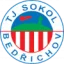 Sokol Bedrichov logo