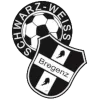 Bregenz logo