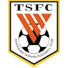 Shandong Taishan logo