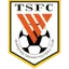 Shandong Taishan logo