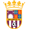 Palencia logo