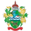 Chertsey Town logo