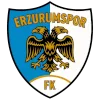 BB Erzurumspor logo