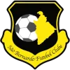 Sao Bernardo EC U20 logo